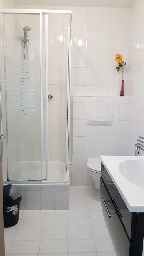 Flats-4U - Cosy, Quite & Clean Apartments In The City บอนน์ ภายนอก รูปภาพ